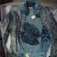 Front View of Blue Velvet Coat with Fur Trim