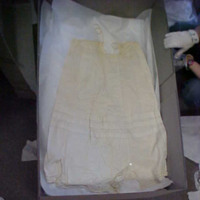 Front View of Petticoat with Buttoned Slits