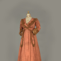 Front View of Brown Tea Gown