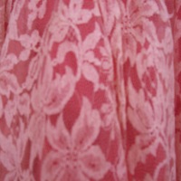 Detail View of Pink Dress with Asymmetric Lace