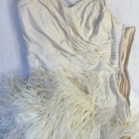 Front View of Cream Ostrich Feather Dress