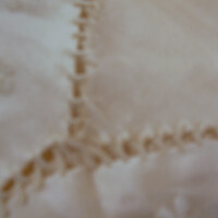 Detail View of Wedding Dress and Veil