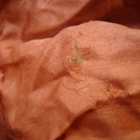 Condition View of Brown Tea Gown