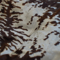 Detail View of Brown and Ivory Print Silk Dress