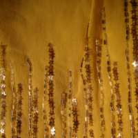 Detail View of Golden Georgette Beaded Dress