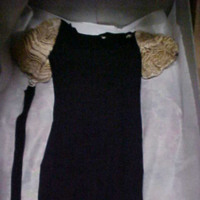 Front View of Black Dress with Belt and Gold Sleeves
