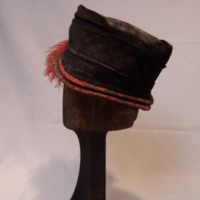Side View of Brown Hat with Feathers