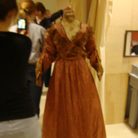 Front View of Brown Tea Gown